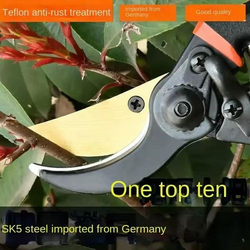 SECATEUR DE JARDIN GENERIQUE